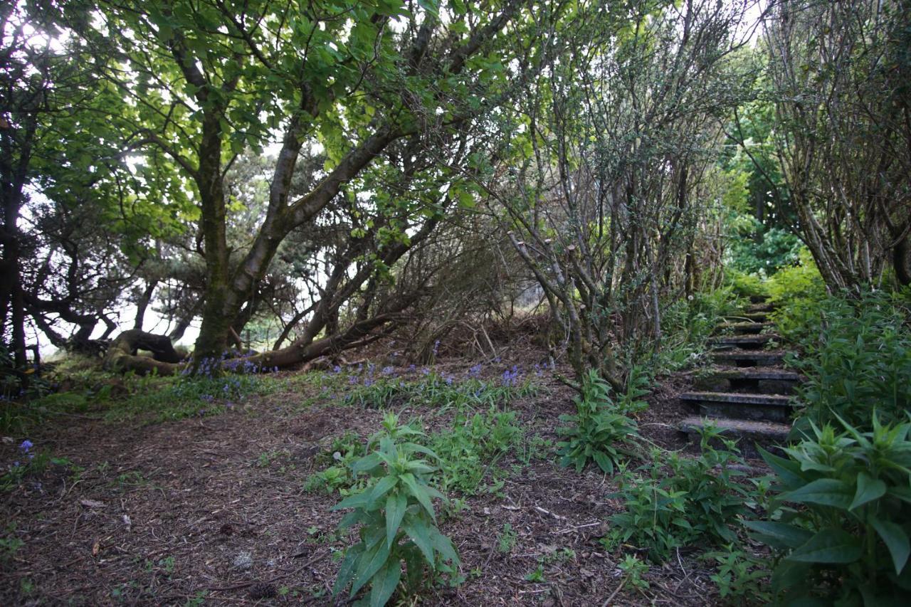 Вилла Remuera, North Tolsta Экстерьер фото